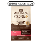 WELLNESS CORE Dry Cat Food Digestive Health Salmon 5lb pet shop