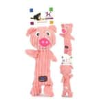 【CANIDAE CANIDAE Exchange item】Charming Pet 嚴選狗狗訓練磨牙玩具 大頭豬 一個