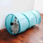 【 礦物貓砂 換購品】HelloDOG 貓玩具 可摺疊滾地玩具 貓咪隧道窩 (款式隨機)
