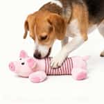 【CANIDAE CANIDAE Exchange item】HelloDOG 玩具嚴選 咇咇公仔狗狗磨牙玩具 小豬 (粉紅間條)