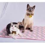 【Natures Protection Natures Protection 換購品】日式冰涼冷感寵物降溫冰絲墊 L碼 (款式隨機)