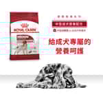 Royal Canin 法國皇家 狗糧 Royal Canin 狗糧 法國皇家狗糧 中型成犬營養配方 M25 4kg