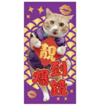 WELLNESS Core 紅包 (大舊) (WNCNY01) (非賣品) (贈品) 貓犬用日常用品 其他 寵物用品速遞