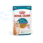 Royal Canin Royal Canin 法國皇家 貓濕糧 FHN 老齡貓15+ 主食濕糧 (肉汁) 85g (4200600)