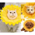日常用品 寵物超可愛防咬頸圈 向日葵 XL碼
