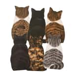 貓頸帶 貓頸圈 日本貓部NEKOBU 超可愛貓咪伸脷利是封 一套八個