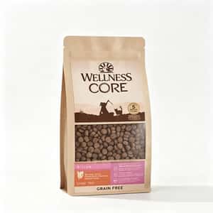 WELLNESS WELLNESS CORE 貓糧 無穀物 幼貓成長配方 火雞及去骨雞肉 試食裝 250g (8842SL)