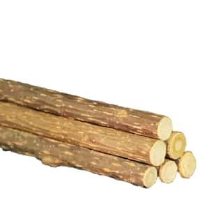 HelloDOG 玩具嚴選 天然木天蓼棒 磨牙棒 (3-6mm) (圖片3)