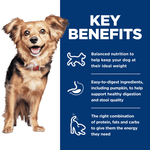 Hill's Science Diet Adult Perfect Digestion Small & Mini Chicken & Brown Rice Recipe Dog Food (圖片14)