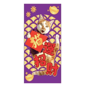 其他 WELLNESS Core 紅包 (錢錢) (WNCNY05) (非賣品) (贈品)