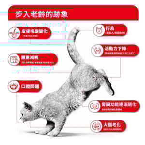 Royal Canin 法國皇家 貓濕糧 FHN 老齡貓11+ 主食濕糧 (肉汁) 85g (4200200) (圖片4)