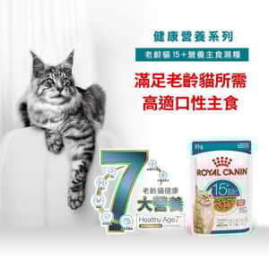 Royal Canin 法國皇家 貓濕糧 FHN 老齡貓15+ 主食濕糧 (肉汁) 85g (4200600) (圖片3)