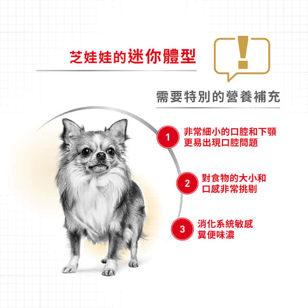 Royal Canin Royal Canin 狗糧 法國皇家狗糧 純種系列 芝娃娃成犬專屬配方 芝娃娃成犬糧 CHH28 1.5kg 5kg 背面圖