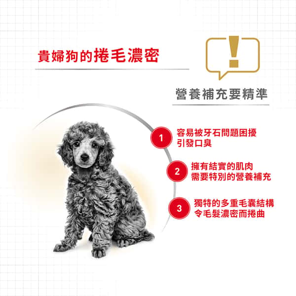 Royal Canin Royal Canin 狗糧 法國皇家狗糧 純種系列 貴婦狗成犬專屬配方 貴婦犬糧 PD30 1.5kg 5kg 背面圖