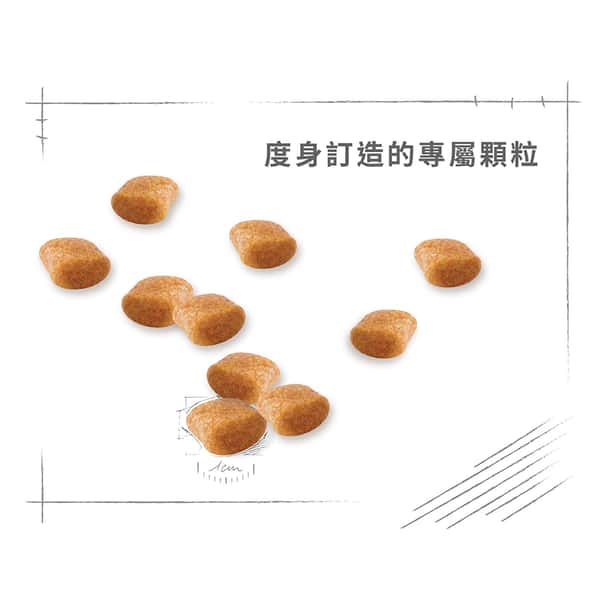 Royal Canin Royal Canin 狗糧 法國皇家狗糧 純種系列 貴婦狗成犬專屬配方 貴婦犬糧 PD30 1.5kg 5kg 特寫圖