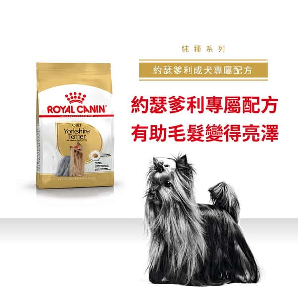 Royal Canin Royal Canin 狗糧 法國皇家狗糧 純種系列 約瑟爹利成犬專屬配方 約瑟爹利成犬糧 PRY28 3kg 3kg 正面圖