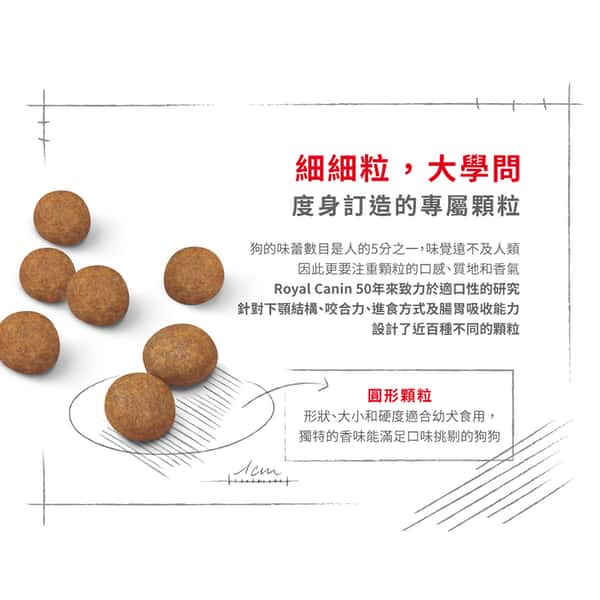 Royal Canin Royal Canin 狗糧 法國皇家狗糧 健康營養系列 大型幼犬營養配方 大型幼犬糧 AGR32 15kg 15kg 特寫圖