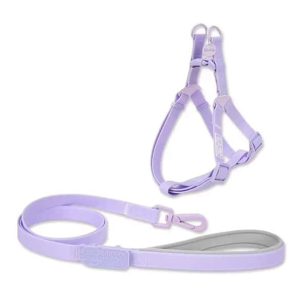TOUCHDOG TOUCHDOG 奶油牽繩套裝 S 15mm 正面圖