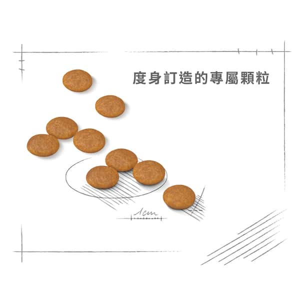 Royal Canin Royal Canin 狗糧 法國皇家狗糧 加護系列 小型犬皮膚舒緩加護配方 小型犬皮膚敏感專用配方 DCMI 3kg 3kg 特寫圖