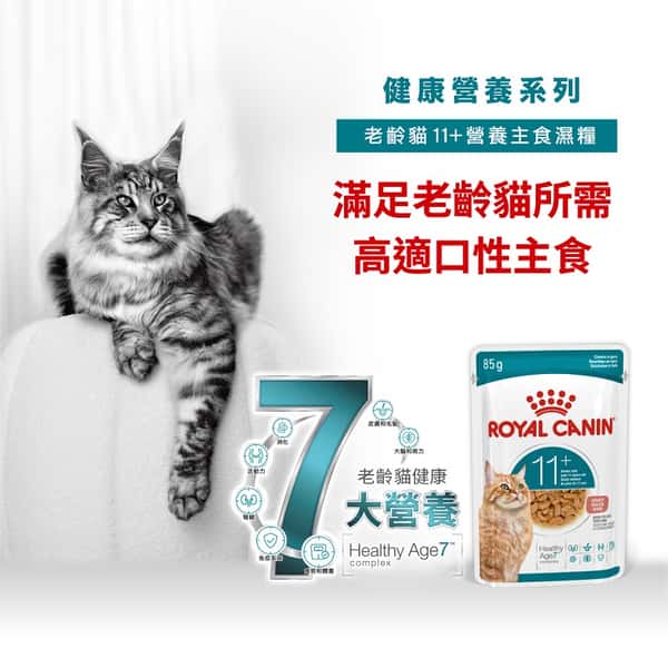 Royal Canin Royal Canin 法國皇家 貓濕糧 FHN 老齡貓11+ 主食濕糧 85g 85g 正面圖