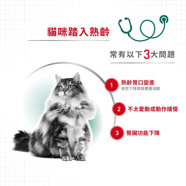 Royal Canin Royal Canin 法國皇家 貓濕糧 成貓7+理想體態營養主食濕糧 85g 85g 背面圖
