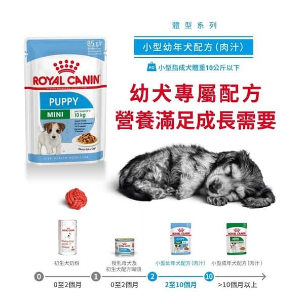 Royal Canin Royal Canin 法國皇家 狗濕糧 小型幼犬營養主食濕糧 85g 85g 正面圖