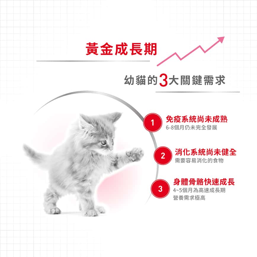 Royal Canin 貓糧 法國皇家貓糧 Kitten 健康營養系列 FHN 幼貓營養配方 K36 2kg (2522020012) (圖片2)