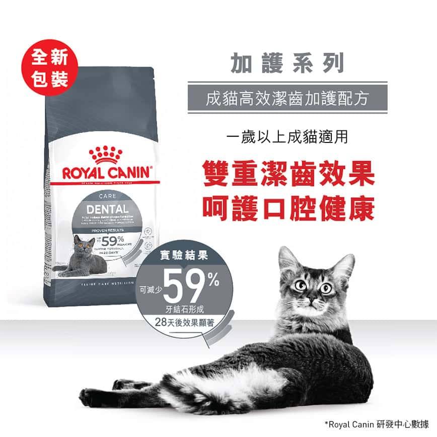 Royal Canin 貓糧 法國皇家貓糧 去牙石成貓高效潔齒加護配方 OS30 8kg (2532080011) (圖片2)