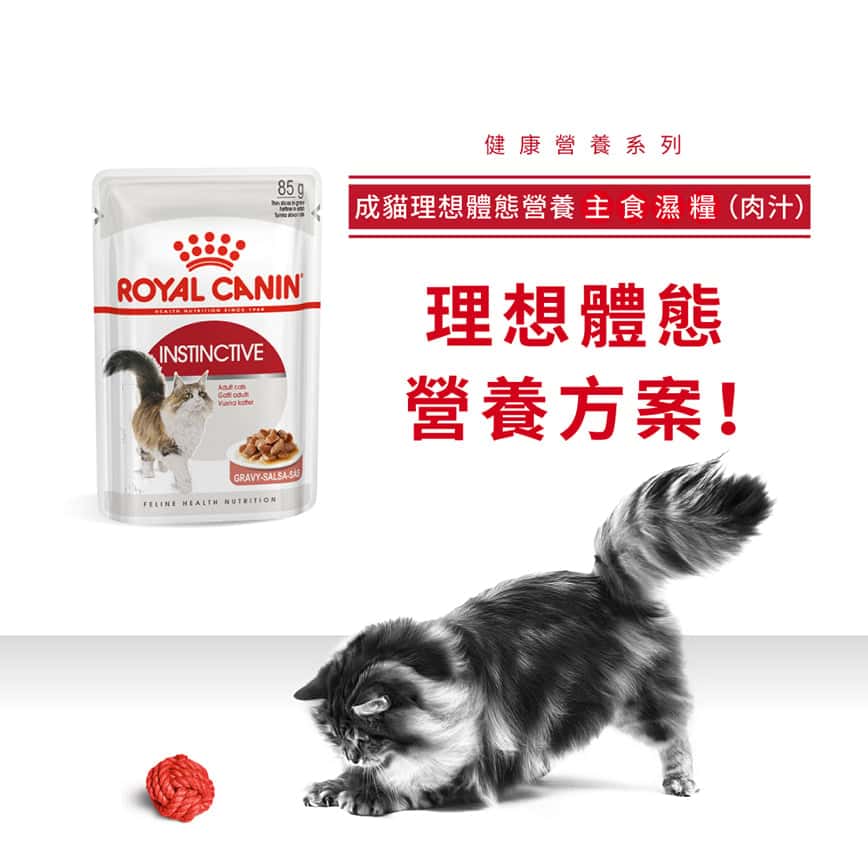 Royal Canin 法國皇家 貓濕糧 成貓理想體態營養主食濕糧 (肉汁) 85g (圖片2)
