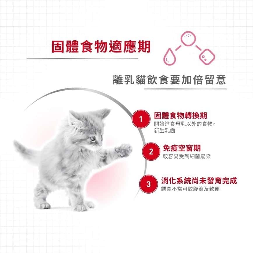 Royal Canin 法國皇家 貓濕糧 離乳貓及母貓營養主食罐頭 BB02 195g (3077200) (圖片2)