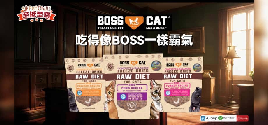 Boss Cat 貓用主食凍乾生肉糧(生雞肉/生火雞/生豬肉配方)|PetChill 寵物用品速遞