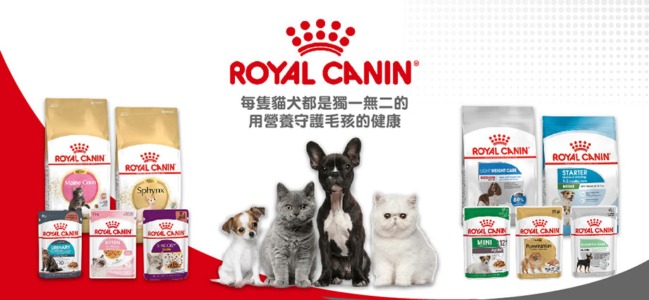 royal canin貓糧 - royal canin狗糧 - royal canin貓糧評價 - royal canin幼貓糧 - royal canin營養奶 - royal canin濕糧 - royal canin處方糧 - royal canin評價 - royal canin罐頭 - royal canin奶粉 - PetChill 寵物用品店