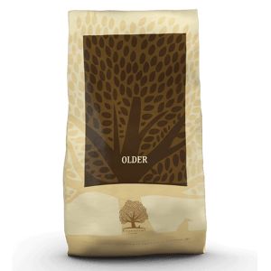 Essential Essential Foods 易膳 狗糧 長青 Older 10kg 10kg 正面圖