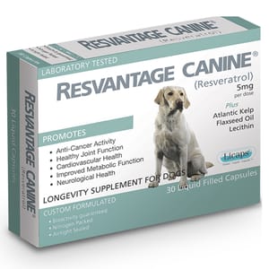 Resvantage Resvantage 白藜蘆醇犬用保健品 30粒 30粒 犬用 正面圖