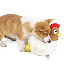 DogLemi DogLemi 狗狗磨牙訓練玩具 生蛋母雞 一個 正面圖