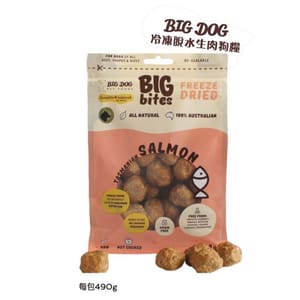 Big Big Dog 冷凍脫水狗糧 三文魚配方 490g 490g  正面圖