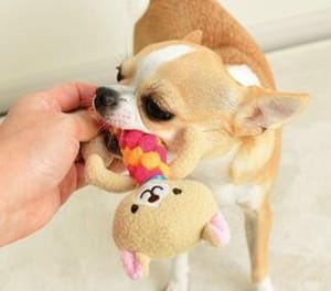 日本Bonbi 日本Bonbi ILOVEPETS Dental Animal 嚴選狗狗護齒玩具 兔兔 正面圖