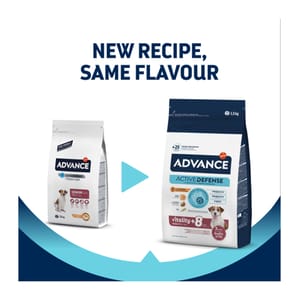 ADVANCE ADVANCE 狗糧 日常護理 小型老犬糧 MINI SENIOR 1.5kg 5kg 正面圖