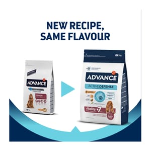 ADVANCE ADVANCE 日常護理 中型老犬糧 MEDIUM SENIOR 3kg 3kg  正面圖
