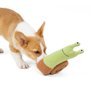 DogLemi DogLemi 狗狗磨牙訓練玩具 綠頭蝸牛 一個 正面圖