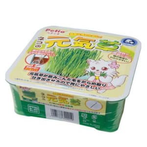 Petio Petio 日本產自種貓草方便套裝   正面圖