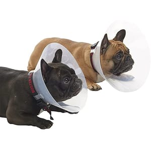 Buster Buster 短吻犬種專用頸圈 E-Collar for Brachycephalic Breeds Starter 加細碼 正面圖