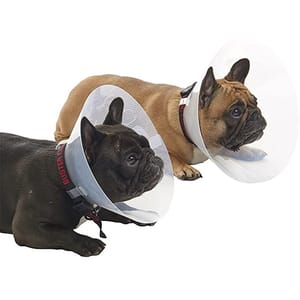Buster Buster 短吻犬種專用頸圈 E-Collar for Brachycephalic Breeds Starter 細碼 正面圖