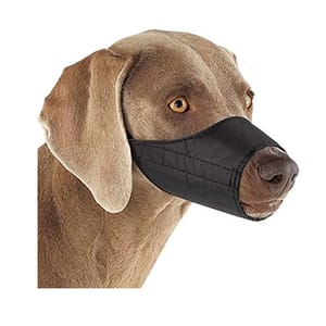Buster Buster 尼龍料犬口罩 德國短毛獵犬 拉布拉多犬 German Doberman Labrador Retriever   背面圖