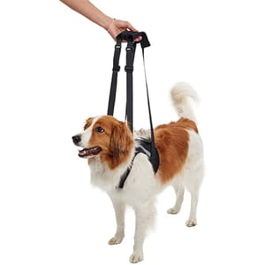 KRUUSE KRUUSE 犬用輔助步行掛帶 前腿 Rehab Lifting Harness for Front Legs XL  犬用 正面圖