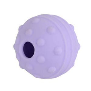 Buster Buster Flex Range Ball 彈力球 紫色   正面圖