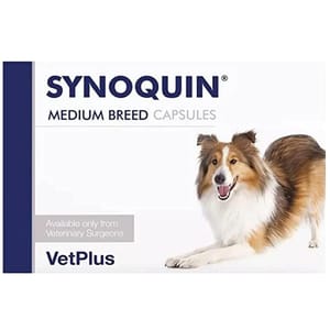 VetPlus VetPlus Synoquin Medium Breed 狗隻關節補充劑 10-25kg 120片肉粒裝 25kg 正面圖