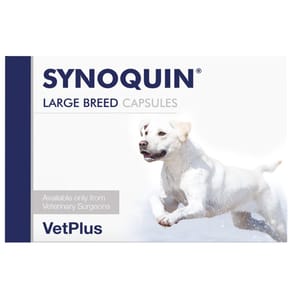 VetPlus VetPlus Synoquin Large Breed 120片肉粒裝   背面圖