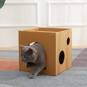 HelloDOG HelloDOG 玩具嚴選 瓦楞紙貓抓板 單層貓屋 1件   正面圖