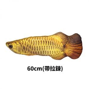 貓咪柔軟舒服抱枕玩具 貓咪柔軟舒服抱枕玩具 金龍魚 加大 - 開倉價優惠 正面圖